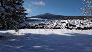 Blick vom Haus nach Westen
