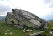 Handalm